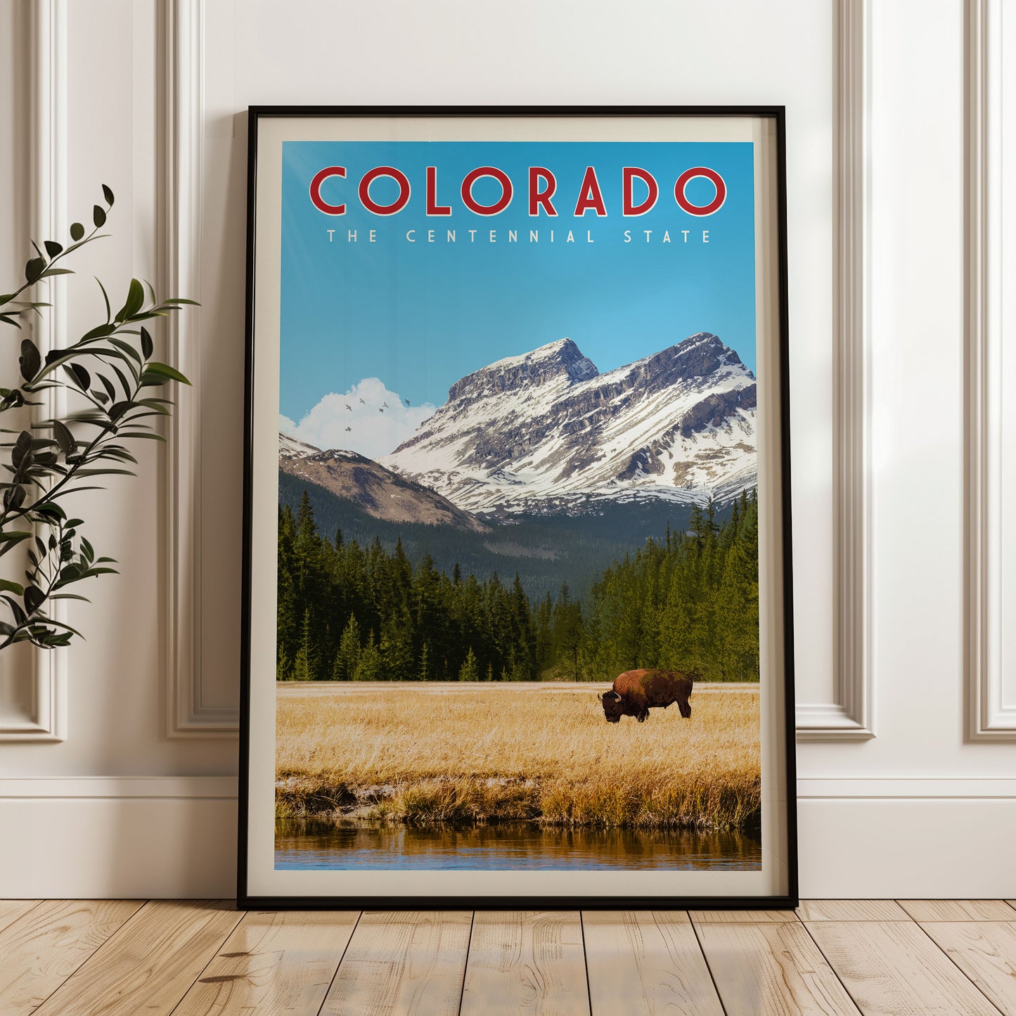 A framed poster of a scenic landscape in Colorado, featuring a bison grazing in a field with snow-capped mountains in the background.