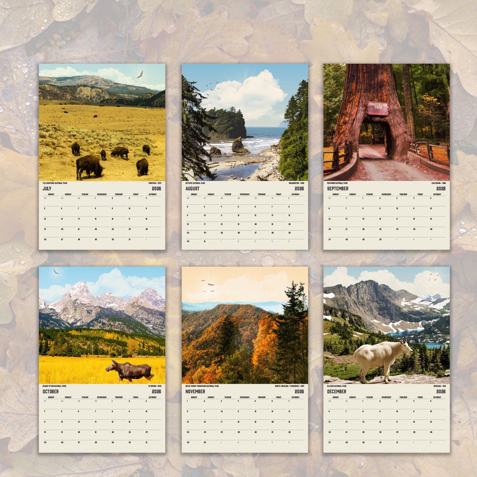 The image is a collage of six calendar pages featuring various natural landscapes, including mountains, forests, and wildlife.