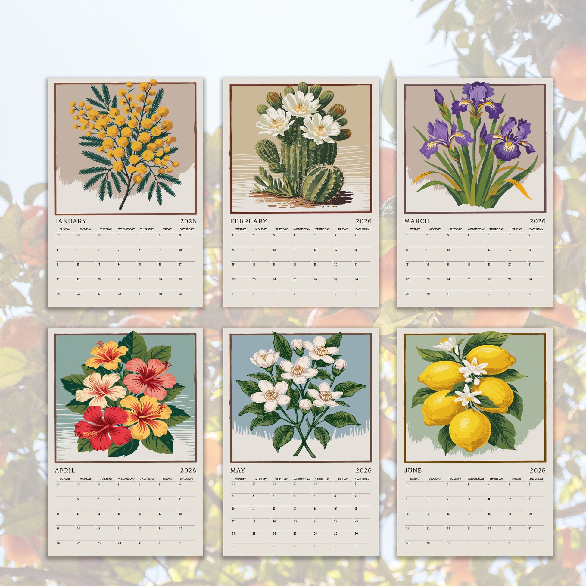 six calendar pages, each featuring a different illustration of flowers and plants. The illustrations include hibiscus, cactus, and various types of flowers, such as lilies and lemons. The calendar is designed to showcase the beauty and diversity of nature, with each page representing a different month of the year.