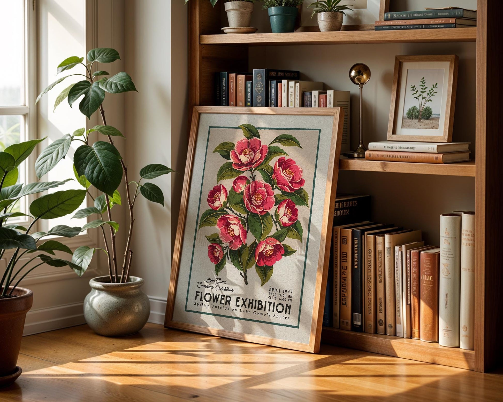 a picture of a flower exhibition next to a potted plant