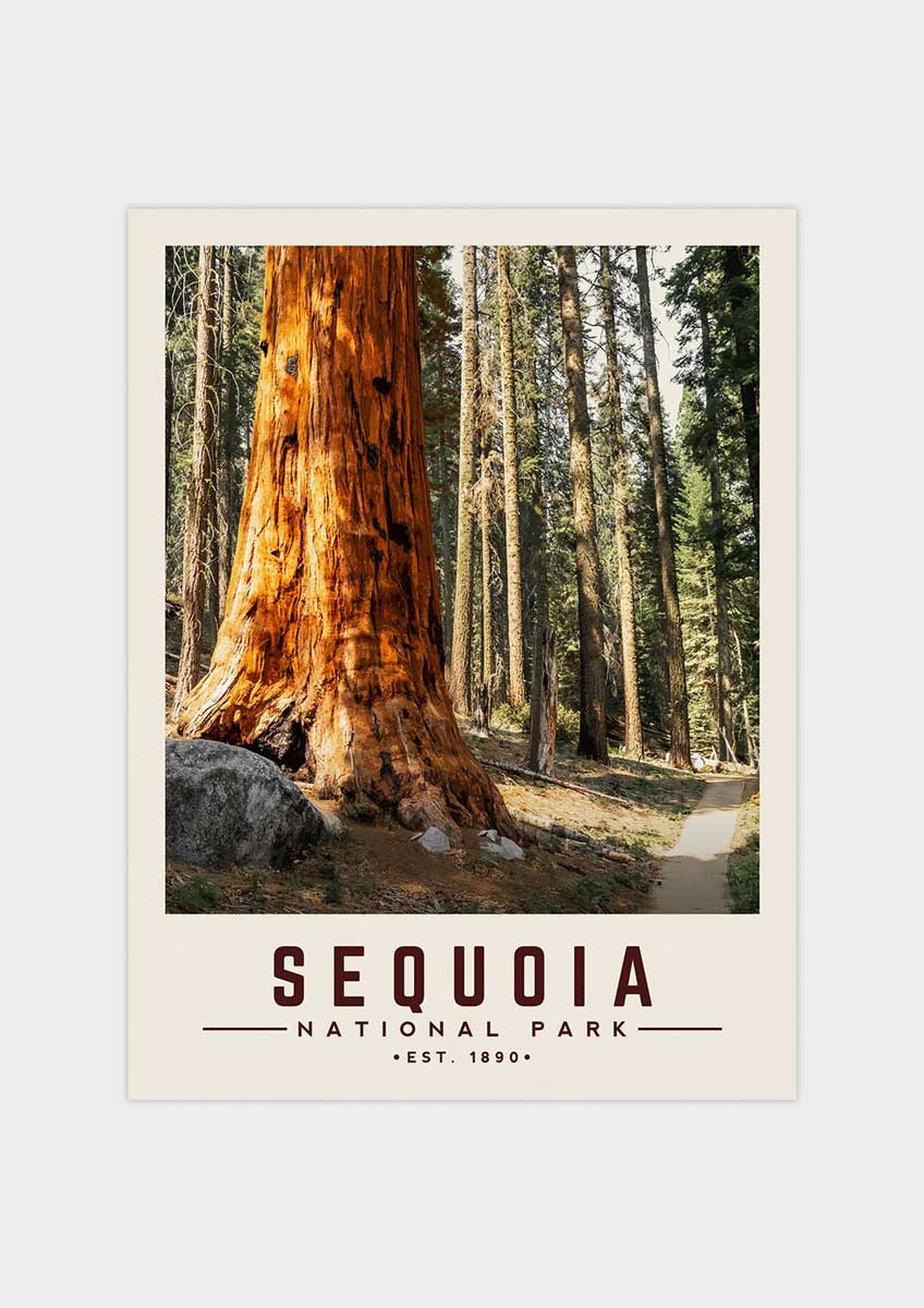 Sequoia Minimalist National Park Poster | Vintaprints