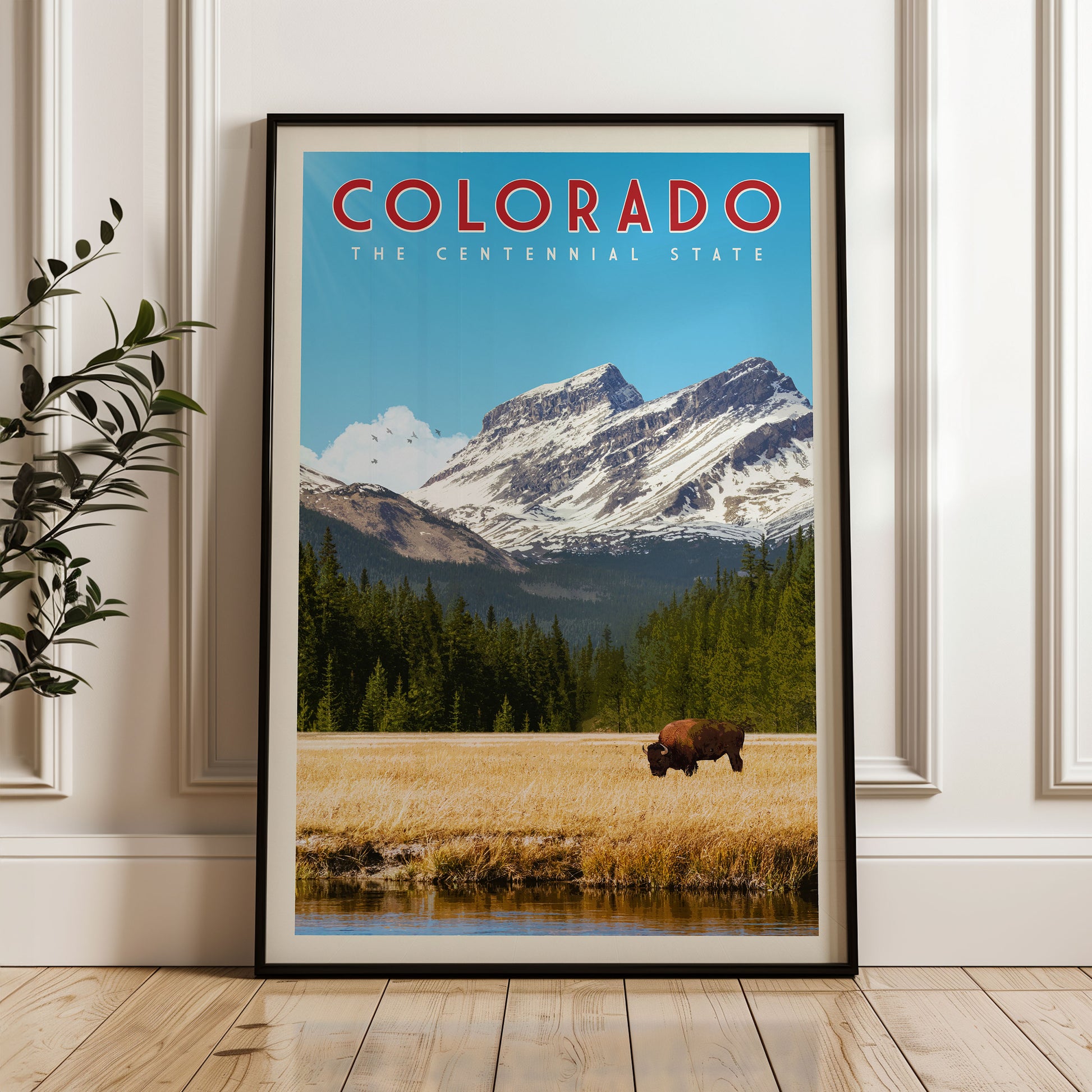 A framed poster of a scenic landscape in Colorado, featuring a bison grazing in a field with snow-capped mountains in the background.