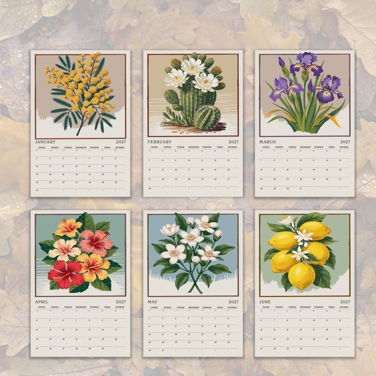 six calendar pages, each featuring a different illustration of flowers and plants. The illustrations include hibiscus, cactus, and various types of flowers, such as lilies and lemons. The pages are arranged in a grid format, with each page displaying the months of the year and the corresponding illustration.