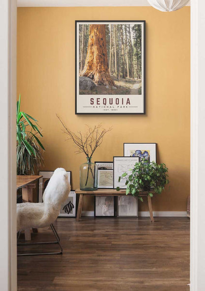 Sequoia Minimalist National Park Poster