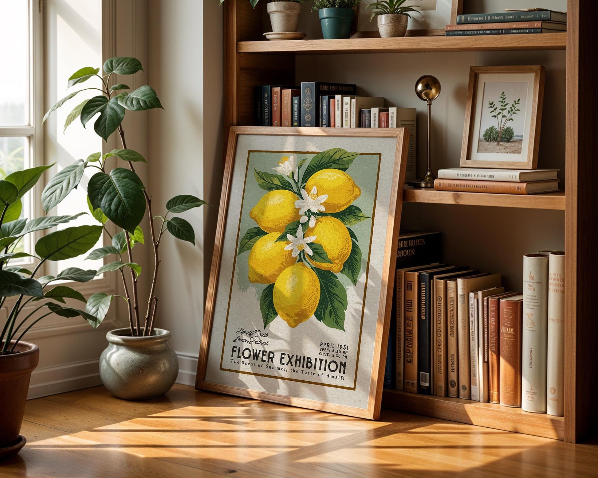 a picture of some lemons on a shelf