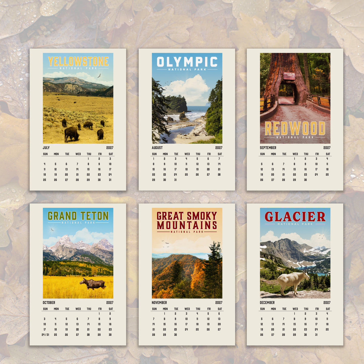 six calendar pages featuring different scenic landscapes, including Yellowstone, Olympic National Park, Redwood National Park, Grand Teton, Great Smoky Mountains National Park, and Glacier National Park.