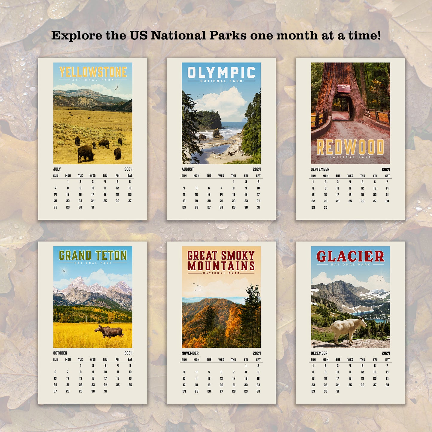 2024 National Park Simplified Calendar