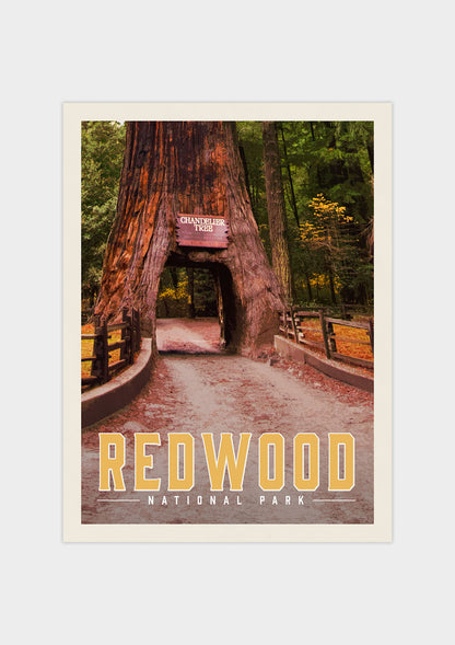 Redwood National Park - Vintage Travel Print