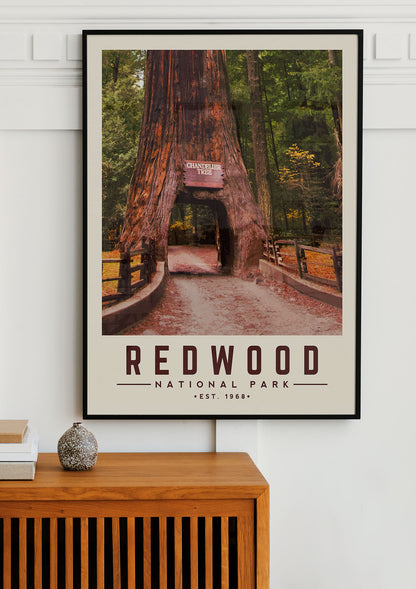 Redwood Minimalist National Park Poster