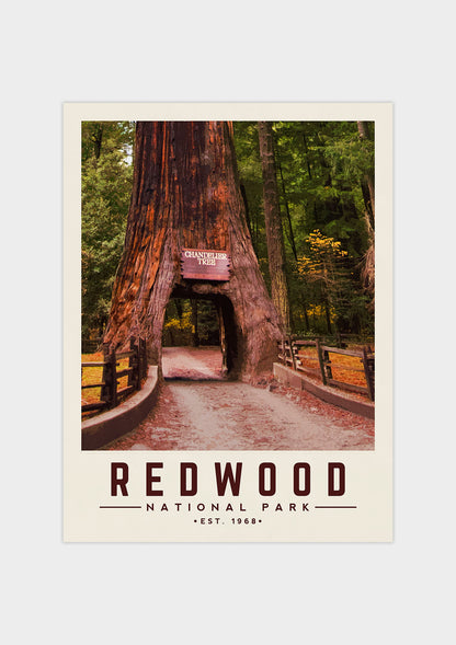 Redwood Minimalist National Park Poster | Vintaprints
