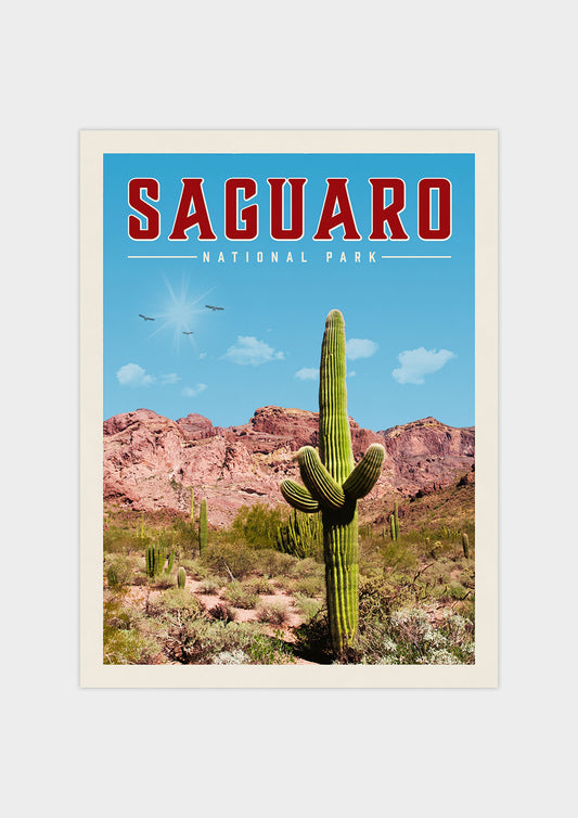 Saguaro Vintage National Park Poster | Vintaprints