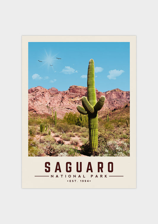 Saguaro Minimalist National Park Poster | Vintaprints