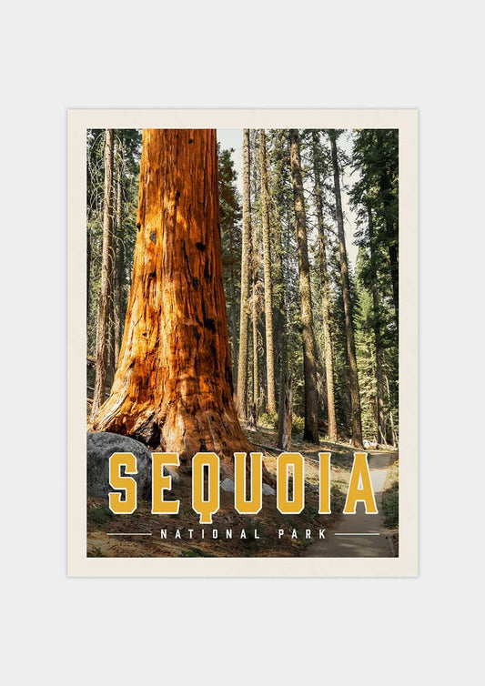 Sequoia Vintage National Park Poster | Vintaprints